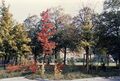 Blick auf das Klinikum Hauptgebäude mit Hubschrauberlandeplatz mit viel alten Baumbestand am 24.9.1986