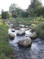 Fischumleitung der Pegnitz am Ulmenweg