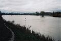 Hochwasser im <a class="mw-selflink selflink">Wiesengrund</a> von der <!--LINK'" 0:130--> aus mit Allee vom <!--LINK'" 0:131--> im Februar 1999