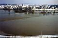 Hochwasser im <!--LINK'" 0:60-->, Blick vom <!--LINK'" 0:61--> auf das Panorama von <!--LINK'" 0:62-->, im Vordergrund die <!--LINK'" 0:63--> mit Pappelallee und <!--LINK'" 0:64-->, <!--LINK'" 0:65-->