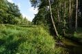 Farrnbach im Tal zwischen Schmalholz und Wolfsgrube - am linken Gehölzsaum verläuft der ehem. Mühlbach