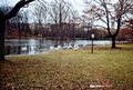 Blick über den Weiher im Stadtpark, im Hintergrund die Kirche "Zu Unserer Lieben Frau", Dezember 1993