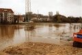 Hochwasser im <a class="mw-selflink selflink">Wiesengrund</a>, Blick zur <!--LINK'" 0:63--> und <!--LINK'" 0:64--> Gebäude im März <!--LINK'" 0:65-->