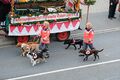 Hundestaffel des Bay. Roten Kreuzes am Erntedankfestzug, Okt 2017