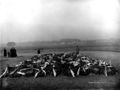 Massengrab der 54 Opfer des Brandunglücks im Pulvermagazin 1917 (im Hintergrund ist die <!--LINK'" 0:76--> und das <!--LINK'" 0:77--> zu erkennen)