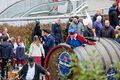 Festzugwagen der Brauerei Tucher - Erntedankfestzug, Okt 2017