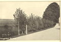 Flanierweg an der Pegnitz im Kurgarten, historische Postkarte, um 1913