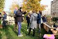 Arbeitsgruppe bei der Veranstaltung Demokratie im Dialog im Südstadt-Gärtla, Okt. 2021