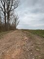 Mittelalterliche Straße nach Cadolzburg über Burgfarrnbach in der Egersdorfer Straße, Mrz 2024