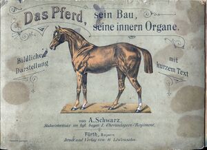 Das Pferd sein Bau seine inneren Organe (Buch).jpg