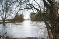 [[Hochwasser]] unterhalb vom [[Fischerberg]] an der [[Panzerstraße]] in [[Stadeln]], Blickrichtung Norden Richtung [[Mannhof]], Aufnahme [[1999]]