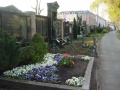 Gräberreihen im Norden des Fürther Hauptfriedhofs entlang der Mauer zur <!--LINK'" 0:77--> (Grabfeld M 3)