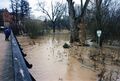 Hochwasser im <a class="mw-selflink selflink">Wiesengrund</a> mit <!--LINK'" 0:127--> im Februar 1999