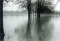 Hochwasser im Wiesengrund, Dez. 1974