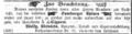 Anzeige Kleinlein; Fürther Abendzeitung 21.1.1877