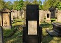 Grabstätte von <!--LINK'" 0:250--> auf dem neuen jüdischen Friedhof an der <a class="mw-selflink selflink">Erlanger Straße</a>