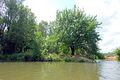 Der Zusammenfluss von Rednitz und Pegnitz in Fürth vom Wasser aus gesehen, Juli 2020