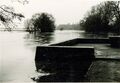 Hochwasser im Wiesengrund, Dez. 1974