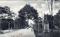 Alte Ansichtskarte vom Stadtpark mit <!--LINK'" 0:43-->, im Hintergrund die <!--LINK'" 0:44-->. Postkarte gelaufen am 10. / 11. November 1916.