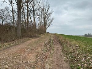 Egersdorfer Straße Bodendenkmal Mrz 2024 4.jpg