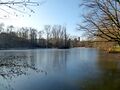 Blick über den zugefrorenen Stadtparkweiher, Dezember 2016