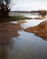 Hochwasser im <!--LINK'" 0:39-->, im Hintergrund die Allee am <!--LINK'" 0:40--> im Februar <a class="mw-selflink selflink">2005</a>