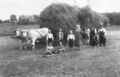 beim Heuaufladen am Stadelner Wiesengrund 1935. Bauernhof <!--LINK'" 0:57--> Namensliste unter Foto - Beschreibung.