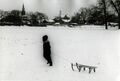 Aufnahme im Wiesengrund, im Hintergrund die Fürther Altstadt mit einem Fachwerkhaus, Jan. 1967