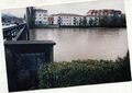 Hochwasser im <a class="mw-selflink selflink">Wiesengrund</a> von der <!--LINK'" 0:123--> aus mit <!--LINK'" 0:124-->, Wohnanlage <!--LINK'" 0:125--> und Seniorenresidenz <!--LINK'" 0:126--> im Februar 1999