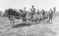 beim Heuwenden am Stadelner Wiesengrund 1939. Bauernhof <!--LINK'" 0:38--> Namensliste unter Foto - Beschreibung.