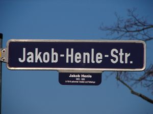 Jakob-Henle-Straße.JPG