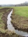 Karlsberggraben nach der herbstlichen Räumung im Jahr 2021 (Einlauf der Rohrleitung zum Stadtwiesengraben im Vordergrund)