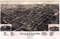 Litografie Tallahassee USA 1885 Beck & Pauli.jpg