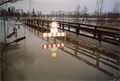 Hochwasser im <a class="mw-selflink selflink">Wiesengrund</a>, im Hintergrund die Allee am <!--LINK'" 0:70--> im Februar <!--LINK'" 0:71-->