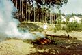 Holzverbrennung auf der alten Sandgrube an der Seestraße in Mannhof, Sommer 1973