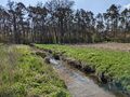 Der Bucher Landgraben mit Blick nach Süden zur <!--LINK'" 0:205-->, April 2023