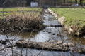 Dillergraben, Einmündung in den Farrnbach südlich der Mühltalstraße