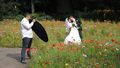 <!--LINK'" 0:156--> Fürth 2014 - Hochzeitsfoto mit vollem Fotografeneinsatz