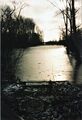 winterlicher <a class="mw-selflink selflink">Waldmannsweiher</a> vom <!--LINK'" 0:12--> aus gesehen, Dezember 1998