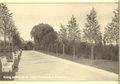 Promenade auf dem Kurbadgelände, historische Postkarte, um 1913