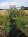 Renaturierter Scherbsgraben Richtung Flutbrücke.