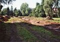 Bau des Umgehungsgerinnes mit Sohlschwellen für die Fischwanderung an der Pegnitz beim Ulmenweg, September 2007