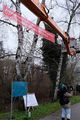 Das inzwischen (Jan. 2018) entwendete Banner zu Gedenken an die im KZ ermordeten Fürther Juden Benario und Goldmann an der Gedenkstätte an der Uferpromenade