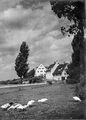 Das Fischerhaus mit Haus von Michael Frosch und Biegels Bauernhaus, ca. 1940