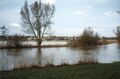 [[Hochwasser]] unterhalb vom [[Fischerberg]] an der [[Panzerstraße]] in [[Stadeln]], im Hintergrund der Stadtteil [[Vach]], Aufnahme [[1999]]