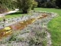 Wetzendorfer Landgraben bei der kleinen Mainau.