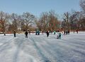 Schlittschuhlaufen auf dem Stadtparkweiher, Januar 2017