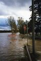 [[Hochwasser]] unterhalb vom [[Fischerberg]] an der [[Panzerstraße]] in [[Stadeln]] im November 1998