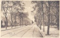 Historische Postkarte. Allee vor dem <!--LINK'" 0:53-->, rechts die <!--LINK'" 0:54-->