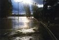 [[Hochwasser]] unterhalb vom [[Fischerberg]] an der [[Panzerstraße]] in [[Stadeln]] im November 1998